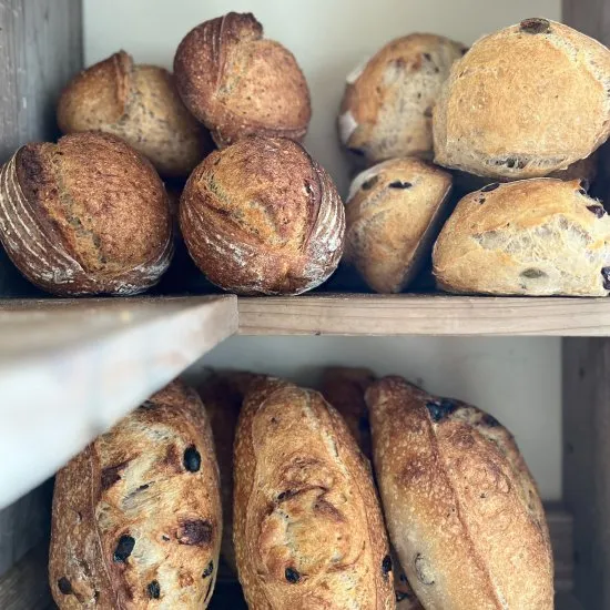 ハード系パンセット