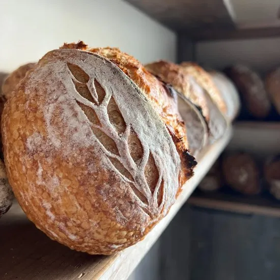 【定期便】ハード系パンセット